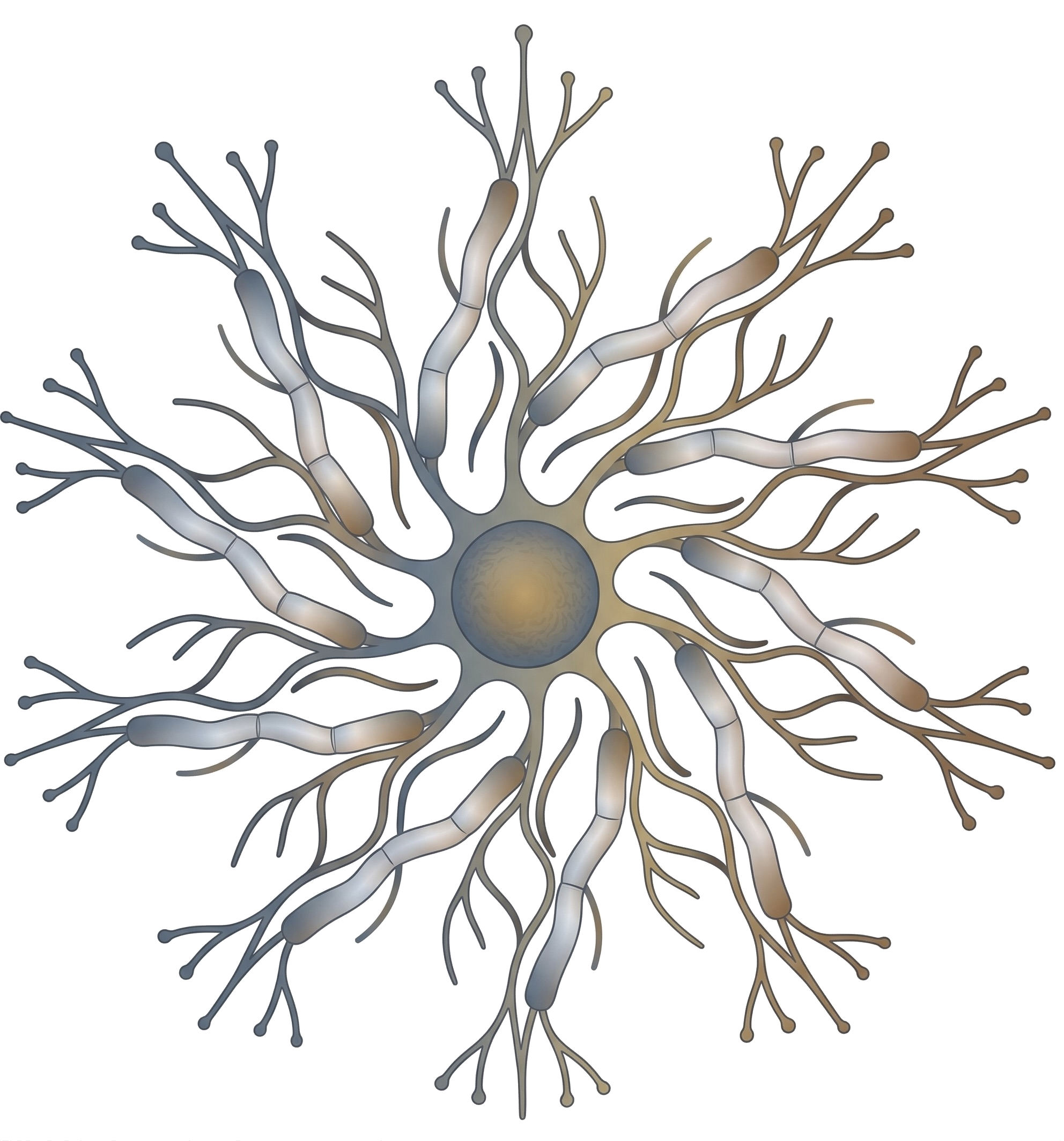 Synapse Logo